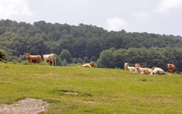 Apartamentos Irati Olaldea