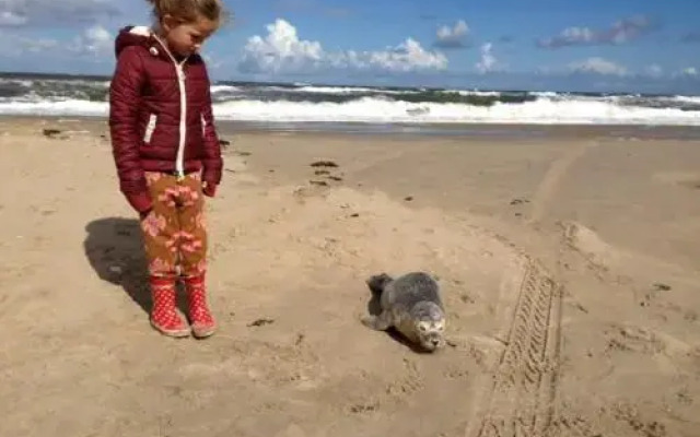 Witte huisje aan zee