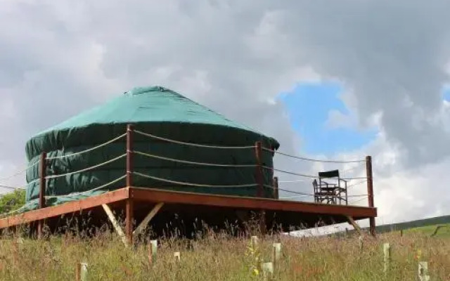 Ettrick Valley Yurts