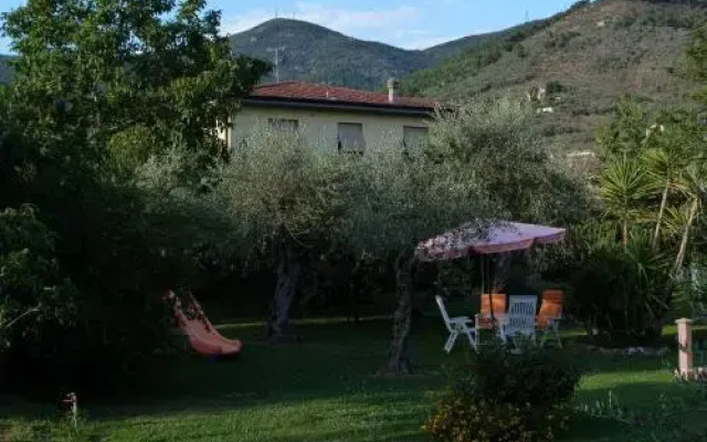 Gli Olivi