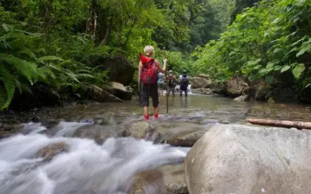 Selva Bananito Lodge