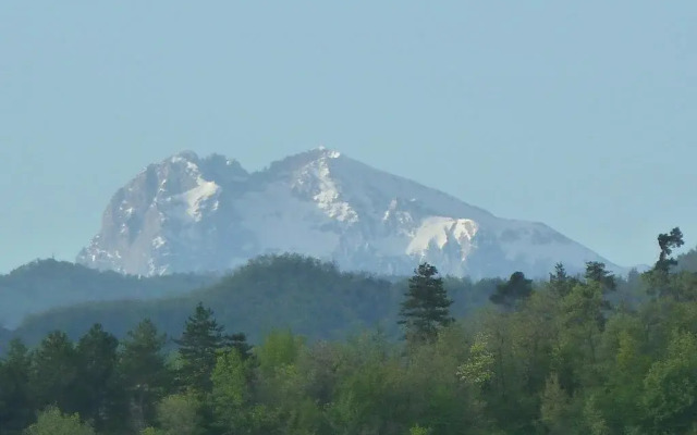 La Collina Del Tartufo