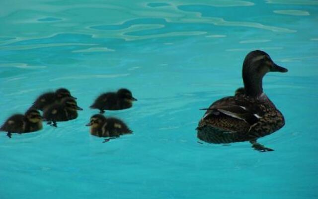 Manoir de la Thébline