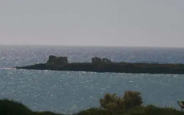 Alborea