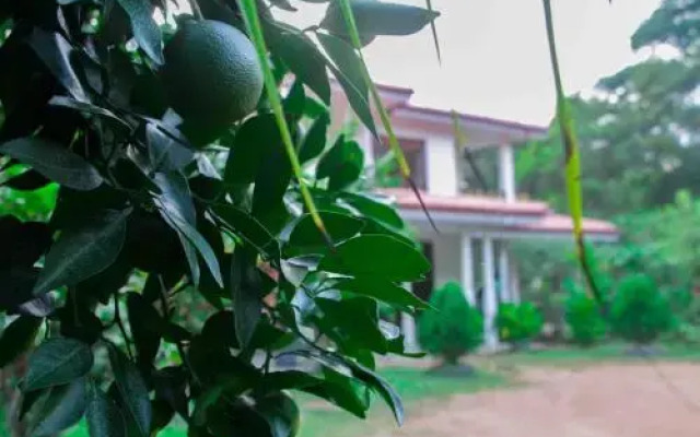 Sigiriya Prince Hotel