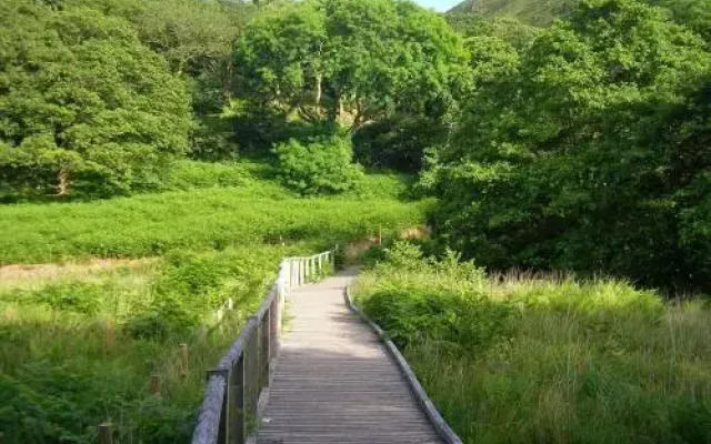 Dolgoch Falls