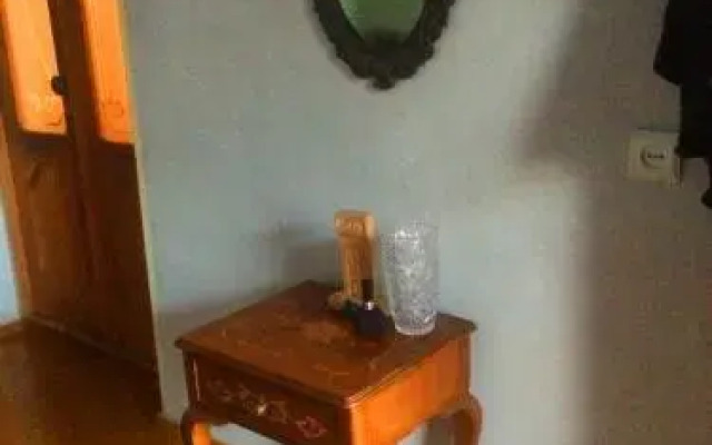 Olya Guest house