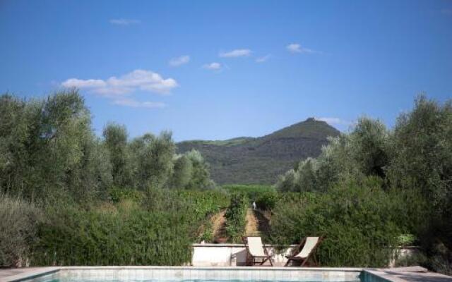 Agriturismo Tra Gli Ulivi