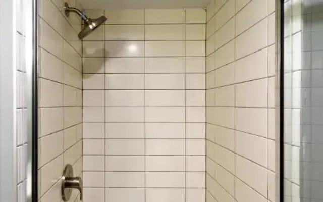 Stay Alfred on 12th Street