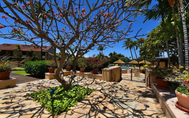 Kaanapali Royal G102 by RedAwning