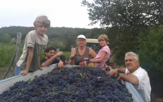 Agriturismo Podere Tegline