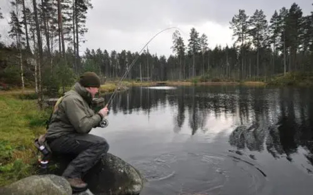 Smålandsfiskarna