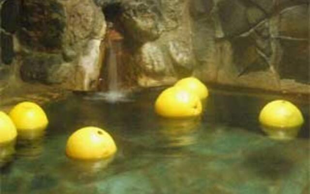 Hinagu Onsen Hiraya Hotel