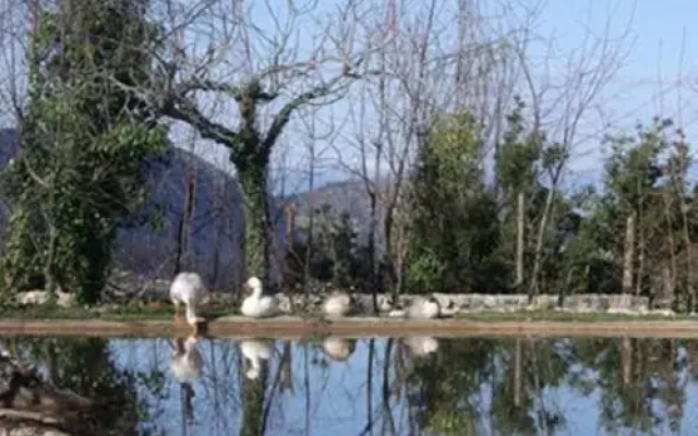Fokaeon Farm