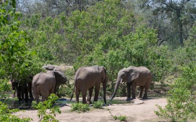 Serolo Safari Camp