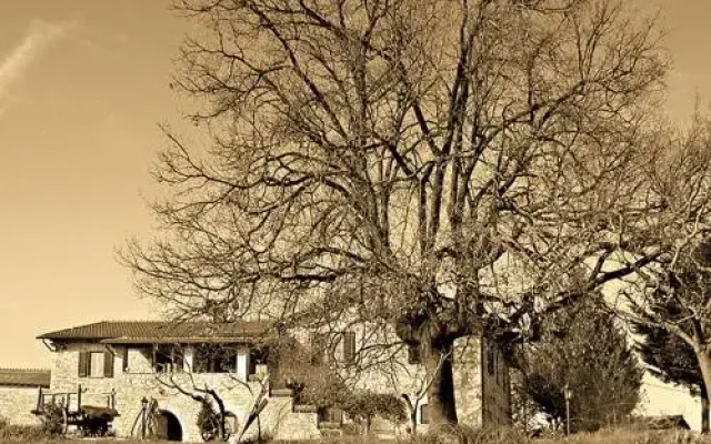 Il Casale della Quercia