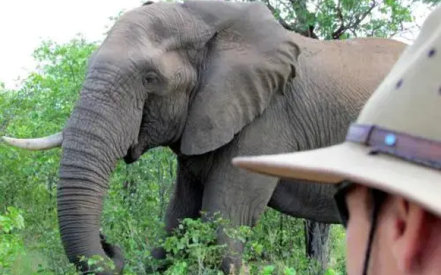 Tulela Safari Lodge