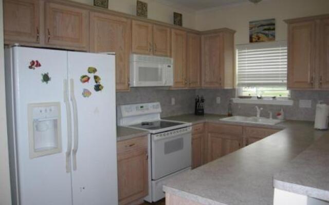 Turtle Cove by RedAwning