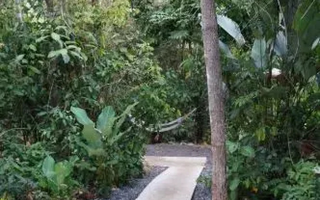 Jolly's Jungle Villa