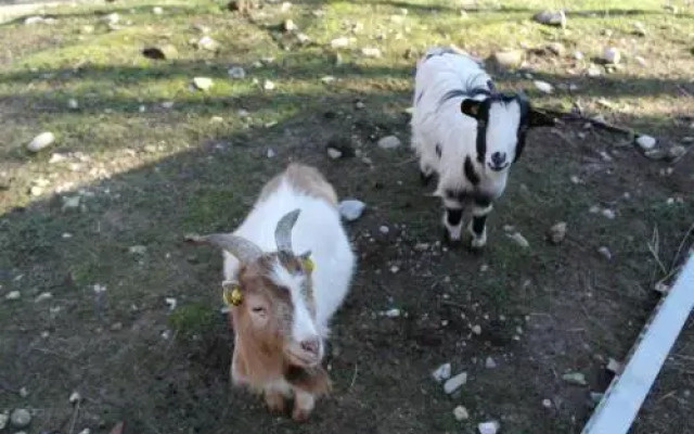 Agriturismo Monte Del Re