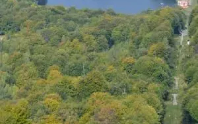 Casa de vacanta Mogosa