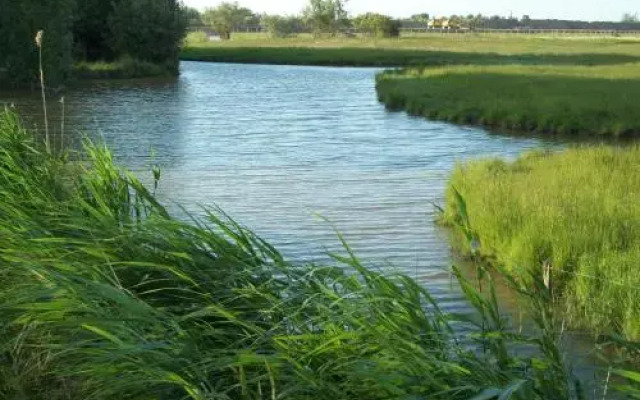 Domaine Le Jardin du Marais