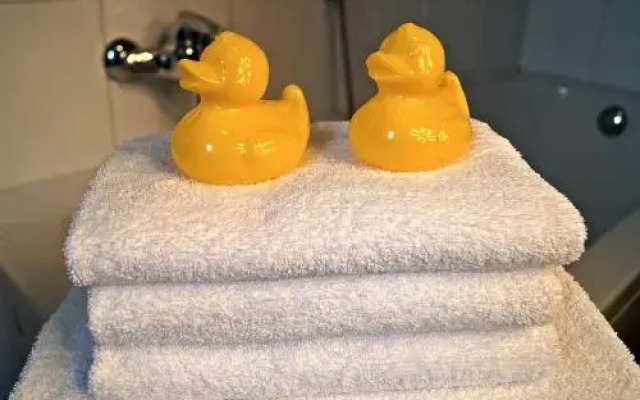 Winterberg Appartement 21070