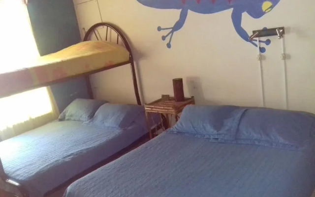 Vida Tropical Bed and Breakfast