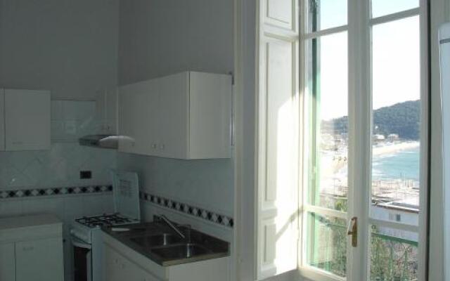 Le Ortensie Di Teresa