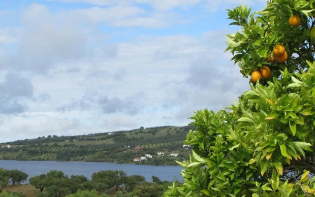 Monte da Tojeirinha
