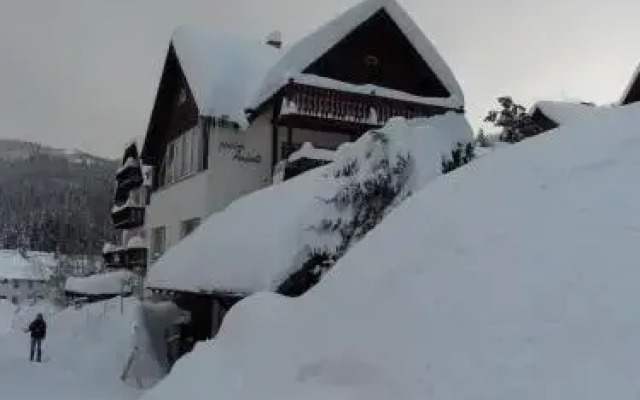 Pension Andante
