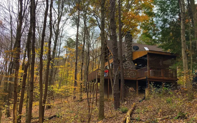 Elk - Hocking Hills