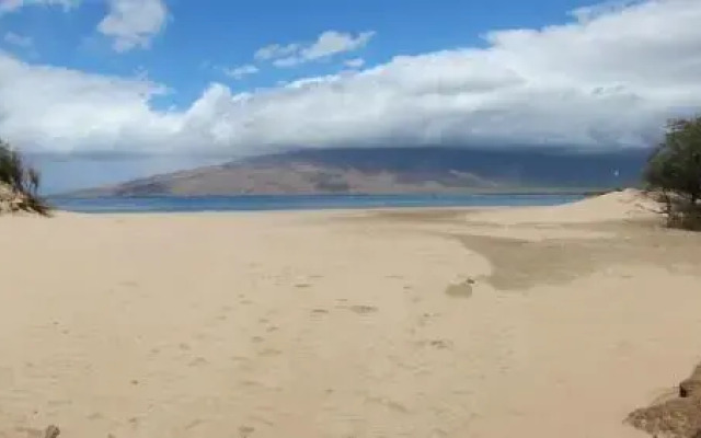 Kihei Bay Surf #226 - Studio Br Condo