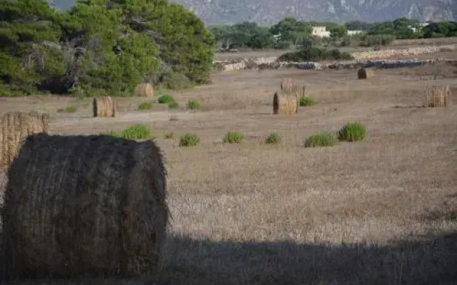 Appartamenti la Pinetina di Favignana