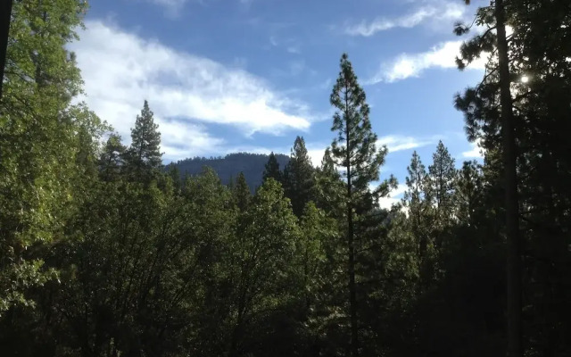 Grant's Camp