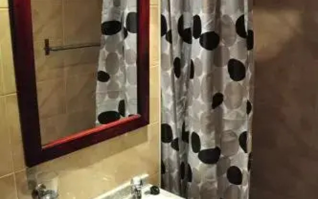 Apartamentos Coso 196