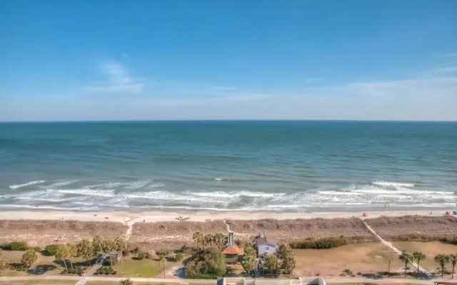 Ocean Forest 1611 - Ocean Front by RedAwning