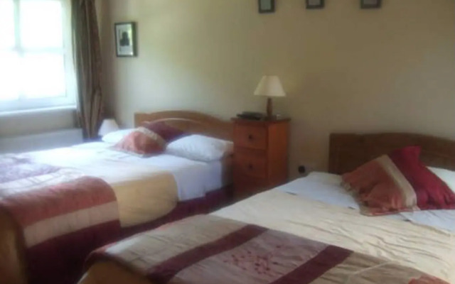 Elderberry B&B
