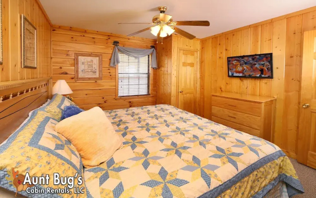 Smoky Mountain Getaway #435
