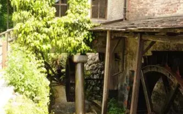 Casa di Creatività Natura Salute