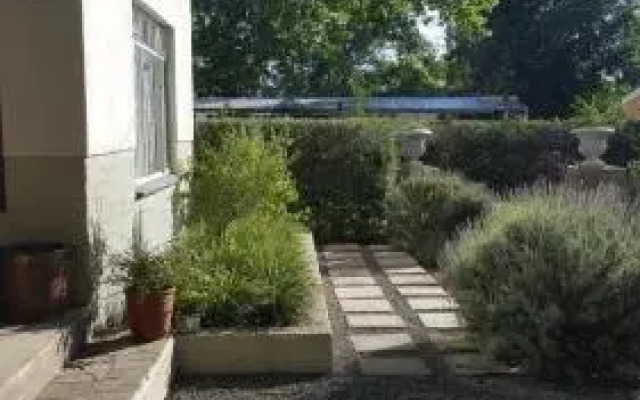 Olive Manor Guest House