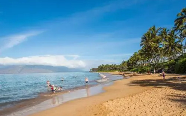 Wailea Ekahi 52B - Studio Condo