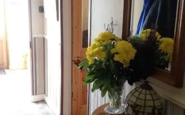 Shamrock House B&B