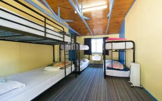 Neds Beds