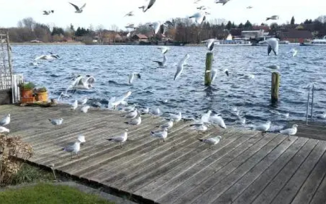 FeWo Direkt Am See - Malchow