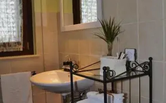 B&B Agrifoglio