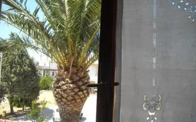 Domomea