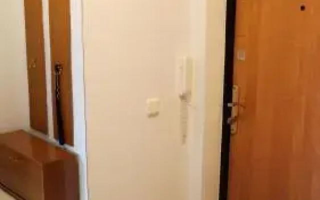 Apartment Mouse House