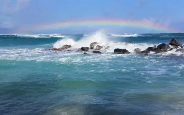 Kihei Akahi D-211