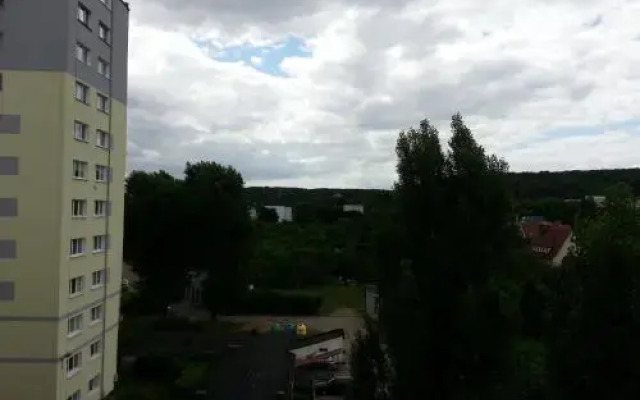 StudioSpanie Studio Orange